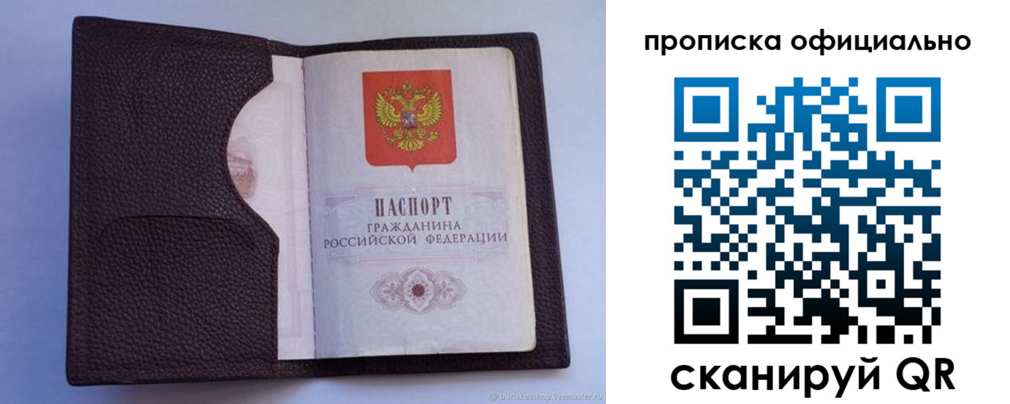 купить прописку в Михайловке